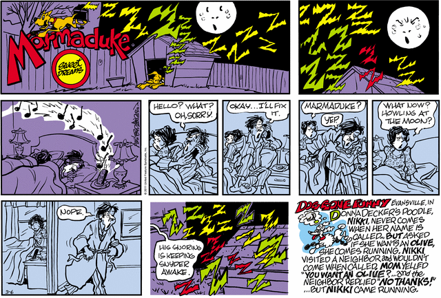 marmaduke